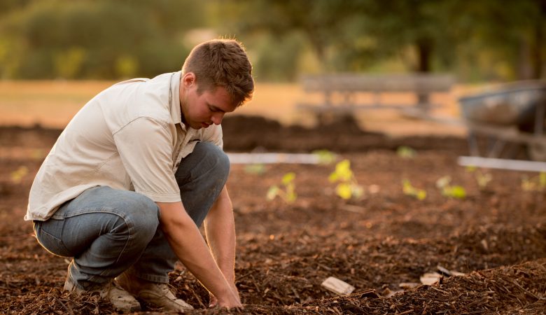 Signs of Yard Drainage Problems